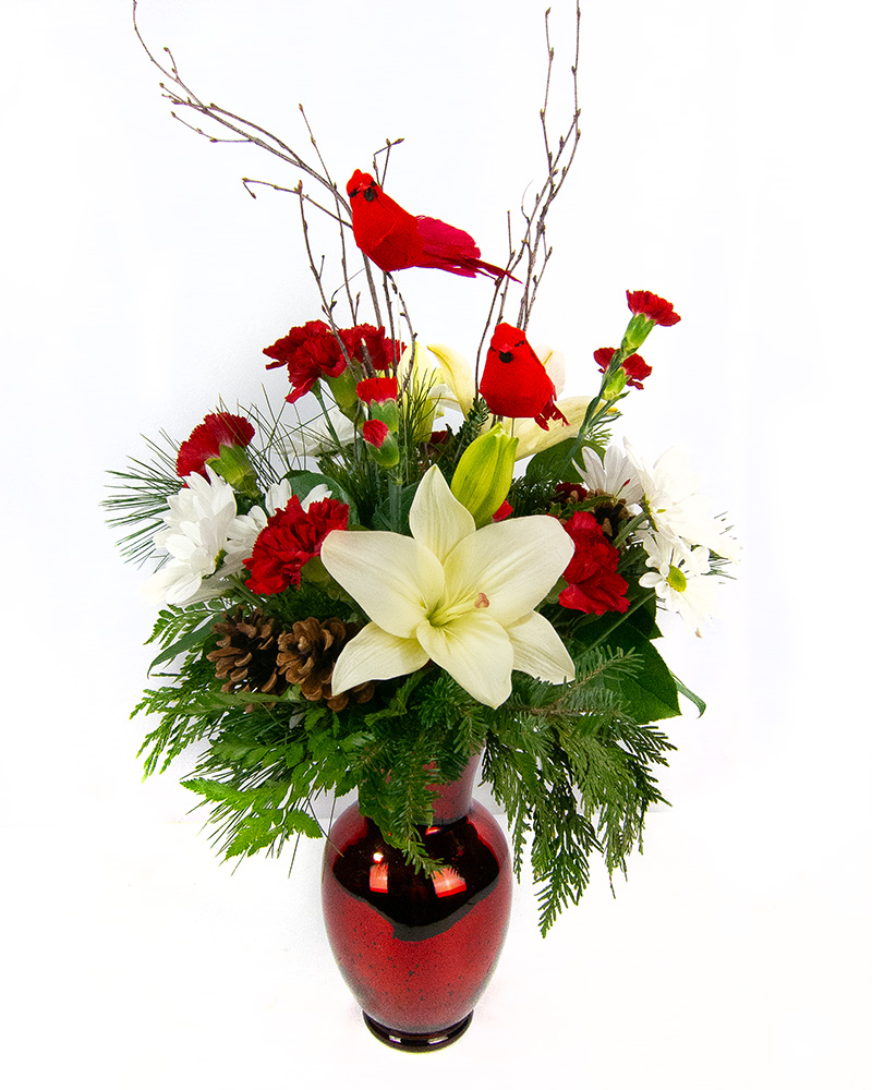 <b>Notice</b>: Undefined index: name in <b>/home/stranges/public_html/shop/vqmod/vqcache/vq2-catalog_view_theme_default_template_product_search.tpl</b> on line <b>386</b> <b>Notice</b>: Undefined index: name in <b>/home/stranges/public_html/shop/vqmod/vqcache/vq2-catalog_view_theme_default_template_product_search.tpl</b> on line <b>386</b>